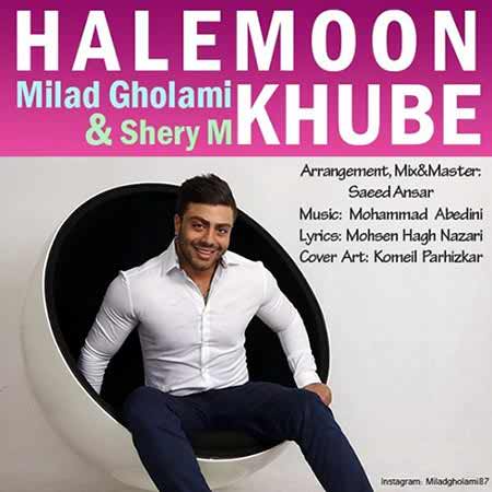 https://dl.mybia4music.com/music/94/1/Milad-Gholami-Halemoon-Khube.jpg