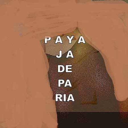 https://dl.mybia4music.com/music/94/1/Paya-Jade-Paria.jpg