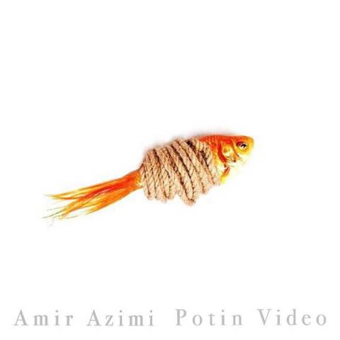 https://dl.mybia4music.com/music/94/8/Amir-azimi-potin.jpg