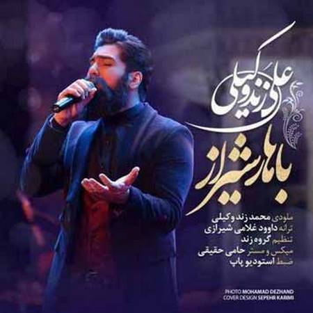 دانلود آهنگ جدید علی زندوکیلی بنام بهار شیراز